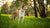 Can Dogs Eat Rotten Food? Understanding the Risks and Best Practices