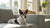 Can Dogs Eat Sausage Biscuits? Understanding the Risks and Alternatives
