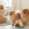 Can Dogs Eat Strawberries? A Comprehensive Guide for Pet Owners