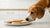 Can Dogs Eat Sugar Cookie Dough? Understanding the Risks and Making Safe Choices