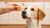 Can Dogs Eat Sugar Cookies? A Comprehensive Guide for Dog Owners-140929106159
