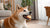 Can Dogs Eat Thyme? Exploring the Benefits and Risks of This Popular Herb