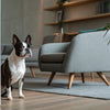 Can Dogs Eat Tilapia? A Comprehensive Guide to Feeding Your Pup This Popular Fish