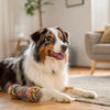 Can Dogs Eat Tomatoes? Understanding the Safety and Benefits of This Juicy Fruit