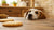 Can Dogs Eat Vanilla Cookies? Exploring the Sweet Treats and Their Safety for Our Canine Friends-140927729903