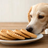 Can Dogs Eat Wafer Cookies? Understanding the Risks and Alternatives