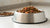 Can Dogs Eat Wet Food Left Out Overnight? What Every Pet Owner Needs to Know