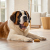 Can Dogs Eat Whipped Cream? Understanding the Risks and Rewards