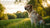 Can Dogs Get Cancer from Eating Human Food? Understanding the Risks and Diet Choices-140133531887