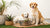 Can Dogs Get Sick from Sharing a Water Bowl? Understanding the Risks and Best Practices