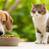 Can Dogs Get Sick If They Eat Cat Food? Understanding the Risks and Nutritional Differences