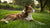 Can Dogs Get Sore from Exercise? Understanding Canine Muscle Soreness