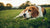 Can Dogs Get Sore Muscles from Exercise? Understanding Muscle Soreness in Dogs