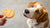 Can Dogs Have a Sugar Cookie? Understanding Treat Safety for Our Canine Friends