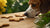 Can Dogs Have Anise Cookies? Understanding the Benefits and Risks-140927172847