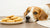 Can Dogs Have Butter Cookies? Understanding Treat Safety for Your Furry Friend-140927795439