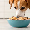 Can Dogs Have Cookie Dough Without Chocolate Chips? Exploring the Risks and Safety