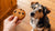 Can Dogs Have Cookies? A Comprehensive Guide to Treating Your Pup Safely
