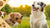 Can Dogs Have Cookies and Cream Ice Cream? Understanding Safe Treats for Our Furry Friends