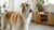 Can Dogs Have Dark Chocolate? Understanding the Risks and Dangers