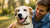 Can Dogs Have Food Allergies? Understanding the Signs, Diagnosis, and Management