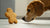 Can Dogs Have Ginger Biscuits? A Comprehensive Guide for Pet Owners-140924125423