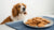 Can Dogs Have Ginger Nut Biscuits? Understanding the Risks and Alternatives for Your Pup-141107200239