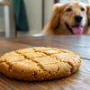 Can Dogs Have Homemade Peanut Butter Cookies? A Comprehensive Guide for Pet Owners