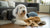 Can Dogs Have Honey? Exploring the Benefits and Risks of This Sweet Treat
