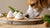 Can Dogs Have Meringue Cookies? Understanding the Safety and Health Implications-141108773103