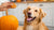 Can Dogs Have Pumpkin Cookies? A Comprehensive Guide for Pet Parents