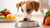 Can Dogs Have Puppy Food? Understanding the Nutritional Needs of Your Pet