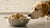 Can Dogs Have Raw Cookie Dough? Understanding the Risks and Making Safe Choices-141105397999