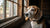 Can Dogs Have Salmon? Understanding the Benefits and Risks of Feeding Salmon to Your Dog