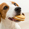 Can Dogs Have Vanilla Wafer Cookies Safely?