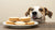 Can Dogs Have Vanilla Wafers Cookies? An In-Depth Exploration for Pet Owners-140925337839