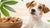 Can Dogs Have White Macadamia Nut Cookies? Understanding the Risks