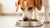 Can Dogs Live on Kibble Alone? A Comprehensive Guide to Canine Nutrition
