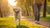 Can Dogs Lose Weight from Walking? A Comprehensive Guide for Pet Owners