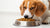 Can Dogs Only Eat Dry Food? Understanding the Nutritional Needs of Our Furry Friends