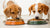 Can Dogs Only Eat Wet Food? Exploring the Benefits and Considerations