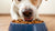 Can Dogs with No Teeth Eat Dry Food? A Comprehensive Guide to Feeding Toothless Dogs