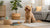 Can Dry Dog Food Be Left in a Hot Car? Essential Insights for Pet Owners