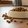 Can Dry Dog Food Be Left Out? Exploring Best Practices for Pet Owners