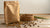 Can Dry Dog Food Expire? Understanding Shelf Life and Storage Tips for Pet Owners