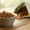 Can Dry Dog Food Freeze? A Comprehensive Guide to Storing Kibble