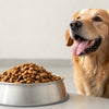 Can Dry Dog Food Give Dogs Diarrhea? Understanding the Causes and Solutions