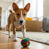 Can Dry Dog Food Go Stale? Understanding Shelf Life and Storage Tips