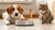 Can Eating Cat Food Make My Dog Sick? Understanding the Risks and How to Prevent It