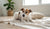 Can Fleas Affect a Dog's Behavior? Understanding the Impact of Fleas on Our Furry Friends-141422002415